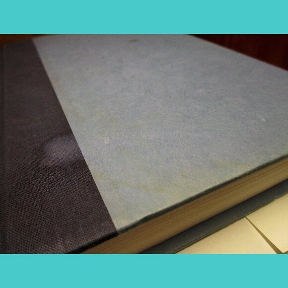 Book: Breaking the Surface, by Greg Louganis and Eric Marcus - Picture 11 of 15